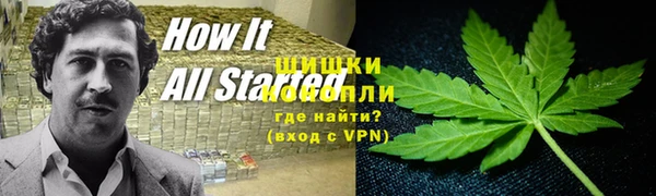 сатива Козловка