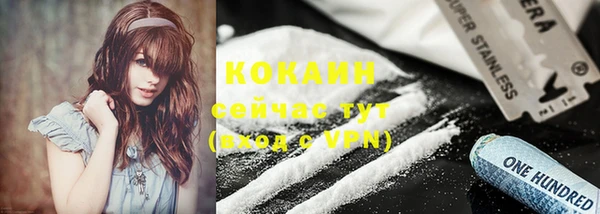 сатива Козловка
