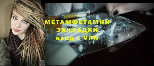 сатива Козловка