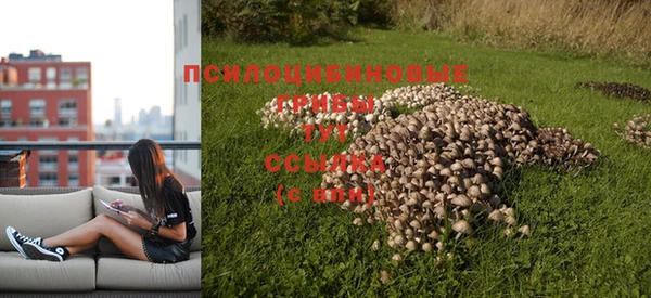 герыч Козельск