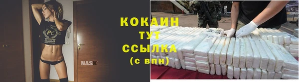 сатива Козловка