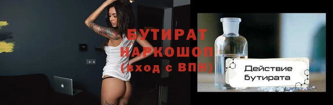 сатива Козловка