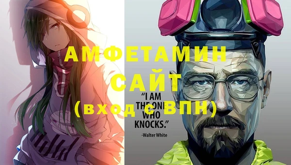 сатива Козловка