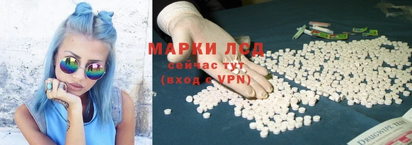 сатива Козловка