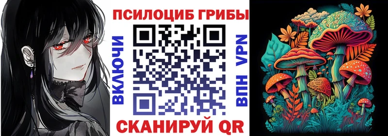 Галлюциногенные грибы Psilocybine cubensis  Купить где  Камышлов 