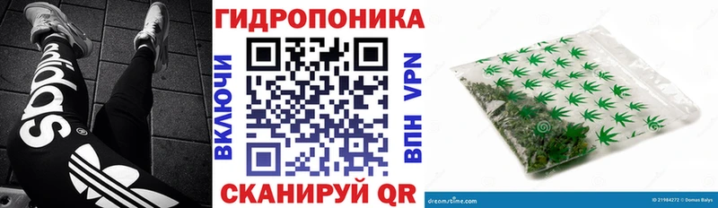 Купить  Камышлов  Шишки марихуана сатива 